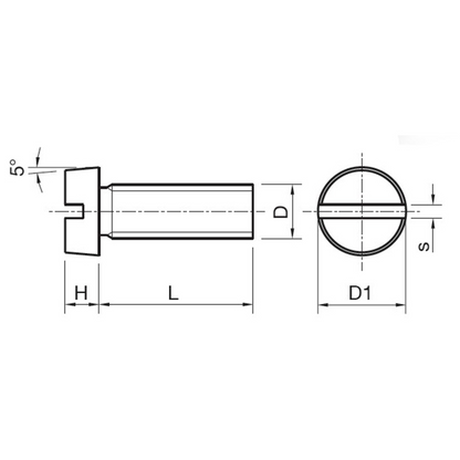 Slotted cheese head screw DIN 84 nylon natural
